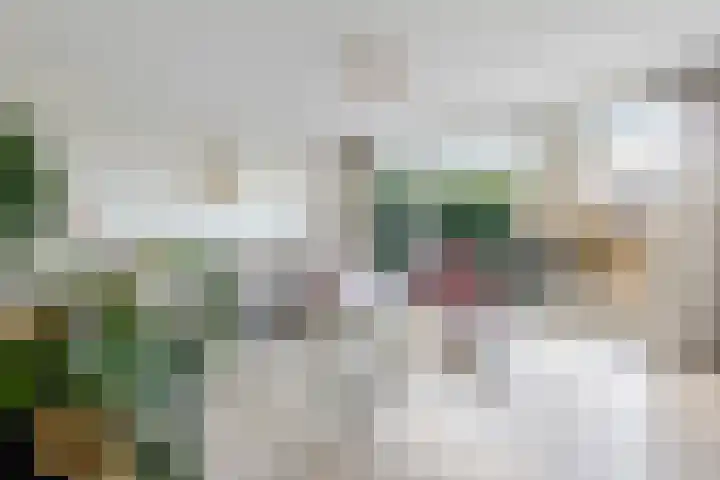 Pieter Soutmanlaan 27 Heerhugowaard thumbnail 4