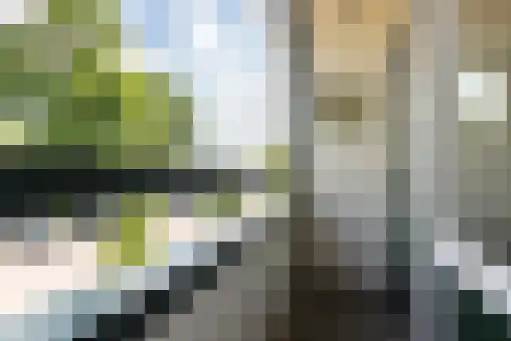 Pieter Soutmanlaan 33 Heerhugowaard thumbnail 32