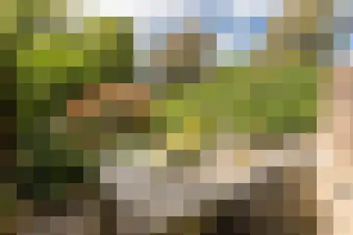 Pieter Soutmanlaan 33 Heerhugowaard thumbnail 34