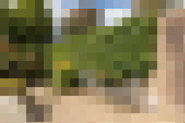 Pieter Soutmanlaan 33 Heerhugowaard thumbnail 36