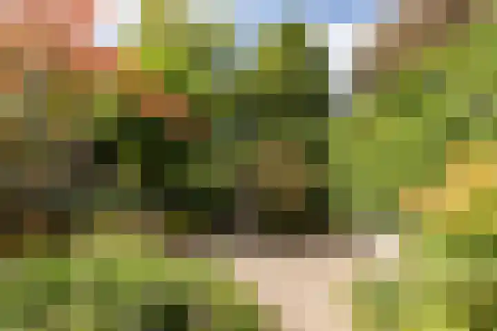 Pieter Soutmanlaan 33 Heerhugowaard thumbnail 38