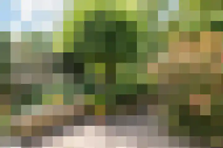 Pieter Soutmanlaan 33 Heerhugowaard thumbnail 39