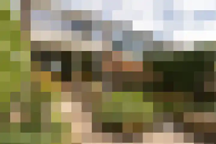 Pieter Soutmanlaan 33 Heerhugowaard thumbnail 42