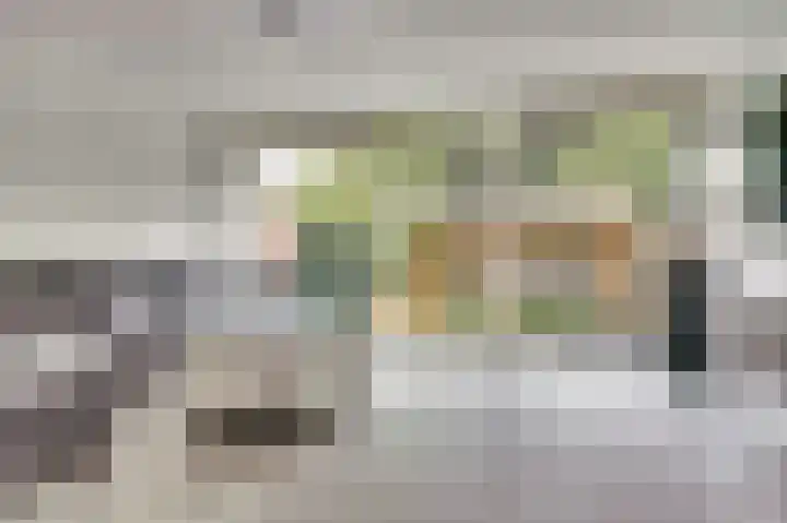 Pieter Soutmanlaan 41 Heerhugowaard foto 3