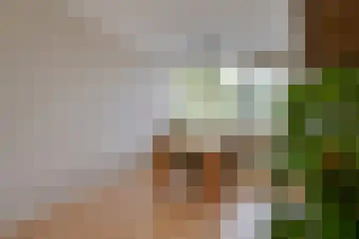 Pieter Soutmanlaan 5 Heerhugowaard thumbnail 11
