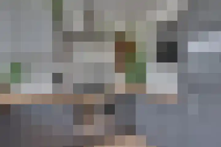 Pieter Soutmanlaan 5 Heerhugowaard thumbnail 16
