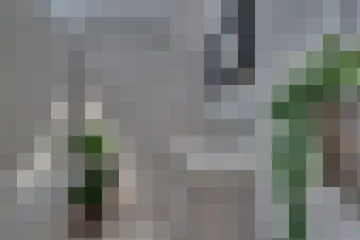 Pieter Soutmanlaan 5 Heerhugowaard thumbnail 30