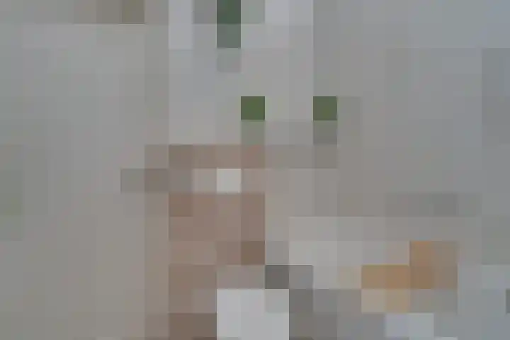 Pieter Soutmanlaan 5 Heerhugowaard thumbnail 32