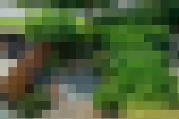 Pieter Soutmanlaan 5 Heerhugowaard thumbnail 34