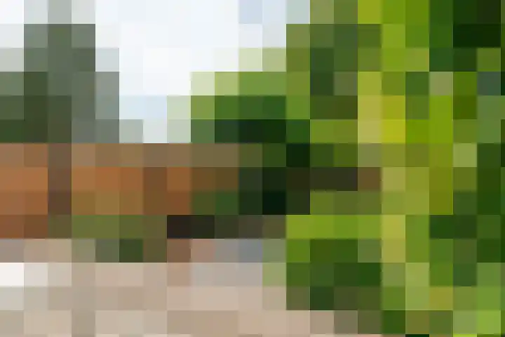 Pieter Soutmanlaan 5 Heerhugowaard thumbnail 35