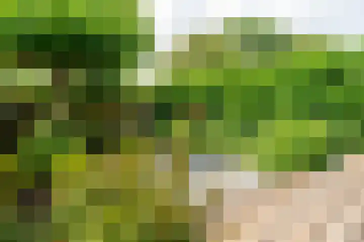 Pieter Soutmanlaan 5 Heerhugowaard thumbnail 36