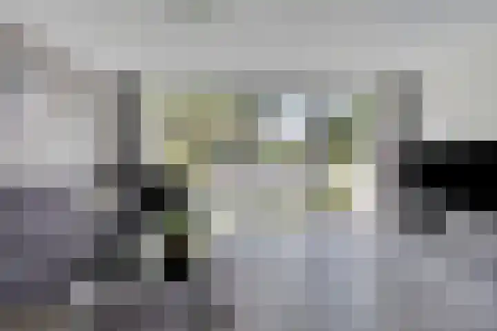 Pieter Soutmanlaan 67 Heerhugowaard thumbnail 14
