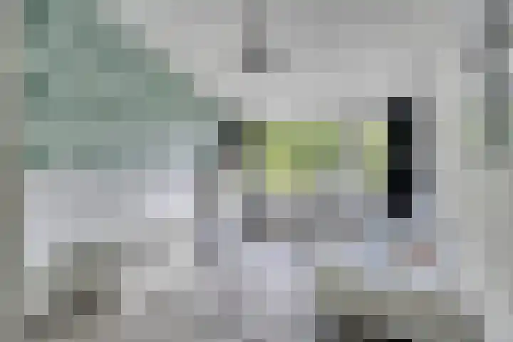 Pieter Soutmanlaan 67 Heerhugowaard thumbnail 23