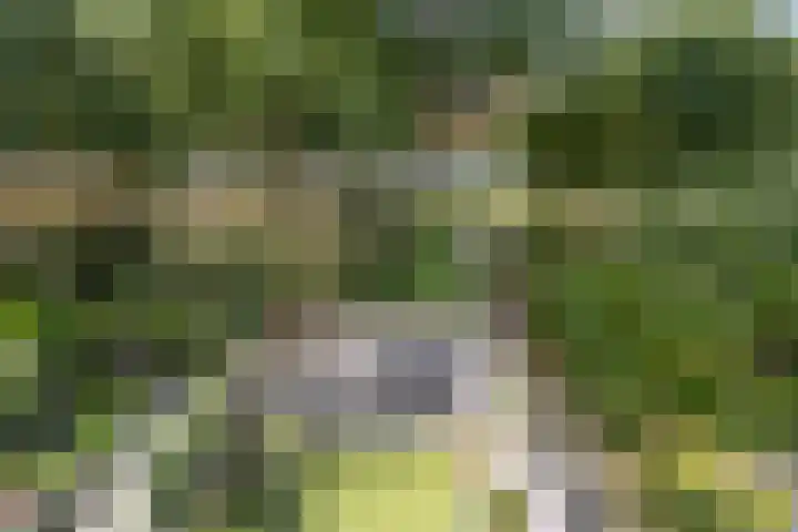 Pieter Soutmanlaan 67 Heerhugowaard thumbnail 31