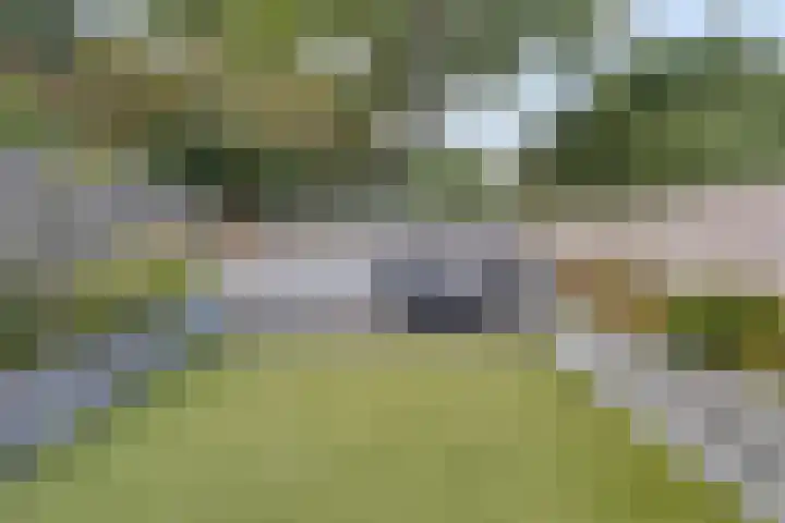 Pieter Soutmanlaan 67 Heerhugowaard thumbnail 32