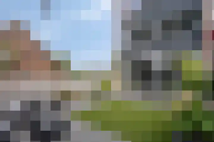 Pieter Soutmanlaan 67 Heerhugowaard thumbnail 35