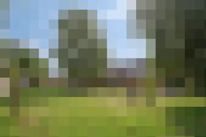 Pieter Soutmanlaan 67 Heerhugowaard thumbnail 36