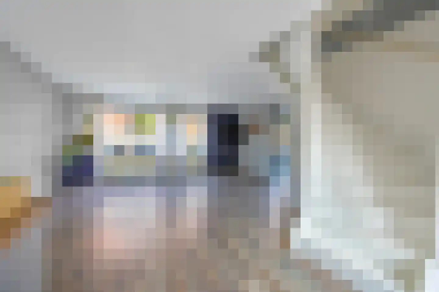 Pieter Spastraat 10 Den Haag thumbnail 13