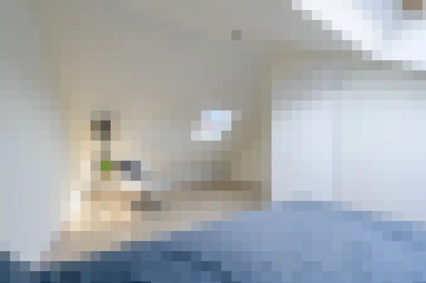 Pieter Spastraat 10 Den Haag thumbnail 27