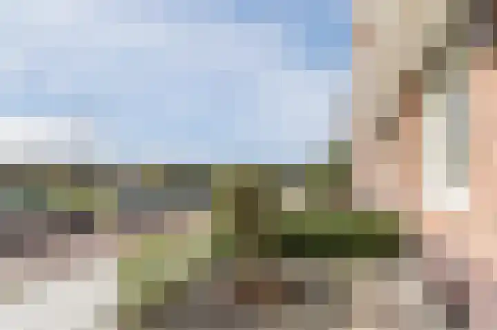 Pieter Speelmansingel 15 Spijkenisse thumbnail 14