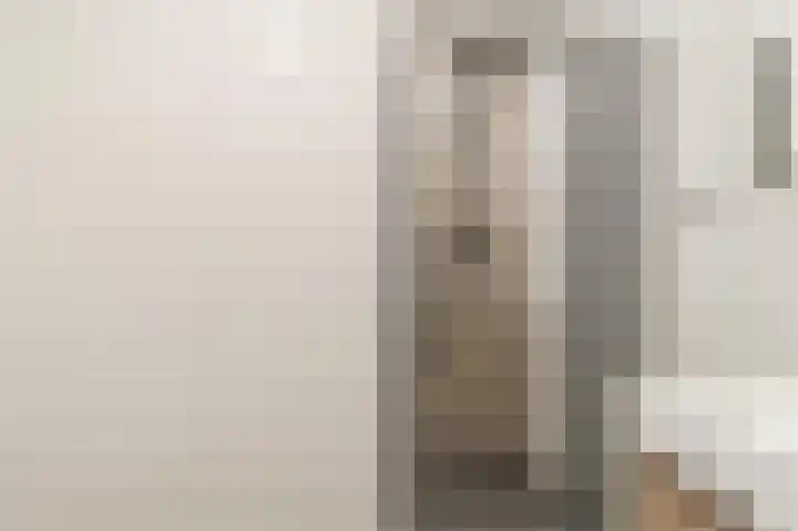 Pieter Speelmansingel 15 Spijkenisse thumbnail 21
