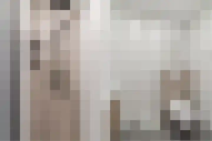 Pieter Speelmansingel 15 Spijkenisse thumbnail 23
