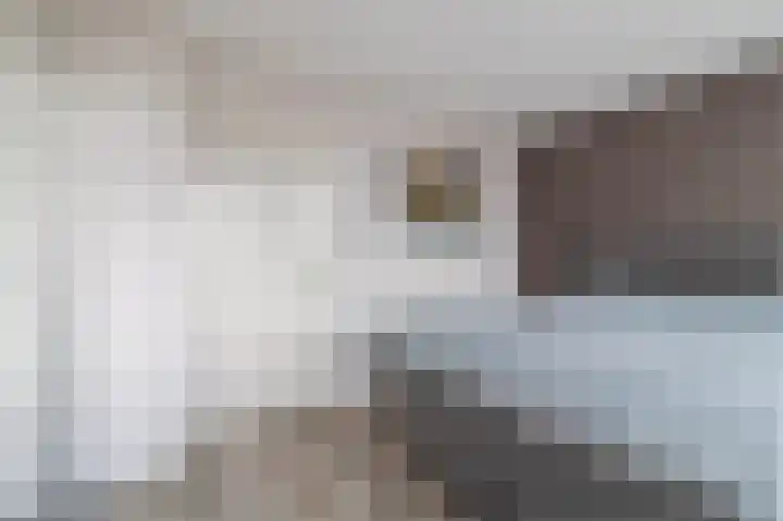 Pieter Speelmansingel 15 Spijkenisse thumbnail 26