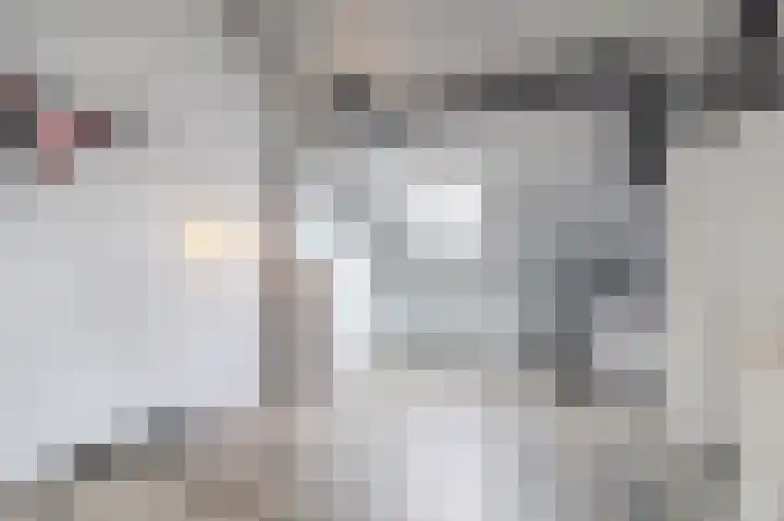 Pieter Speelmansingel 15 Spijkenisse thumbnail 34