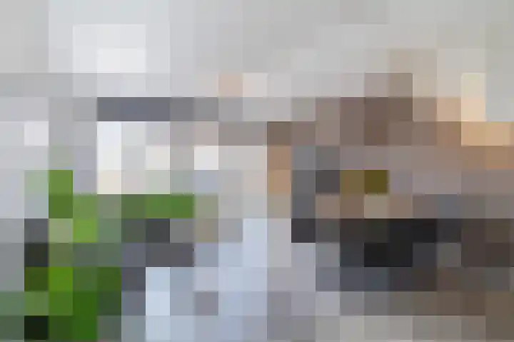 Pieter Speelmansingel 15 Spijkenisse thumbnail 9