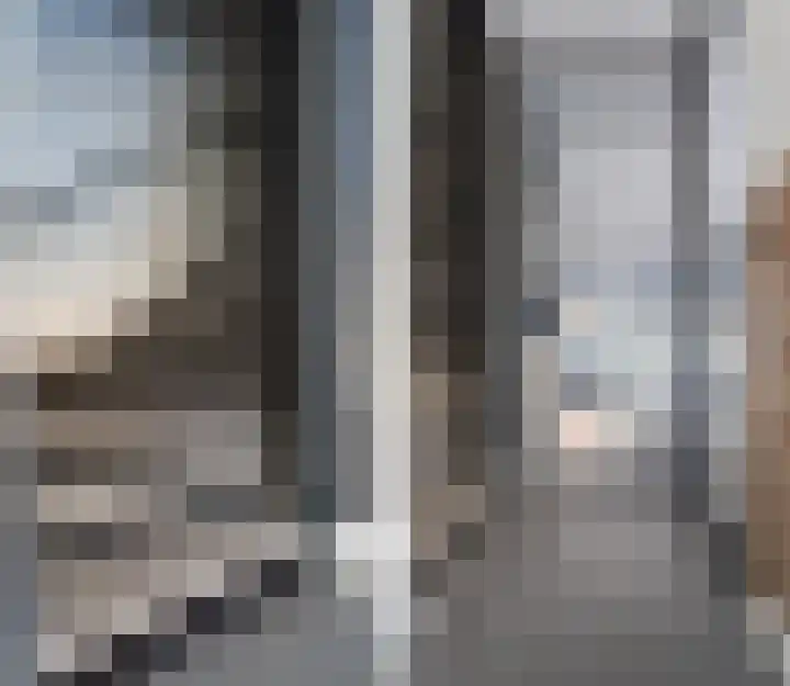 Pieter Speelmansingel 41 Spijkenisse thumbnail 13