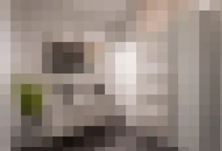 Pieter Speelmansingel 41 Spijkenisse thumbnail 28