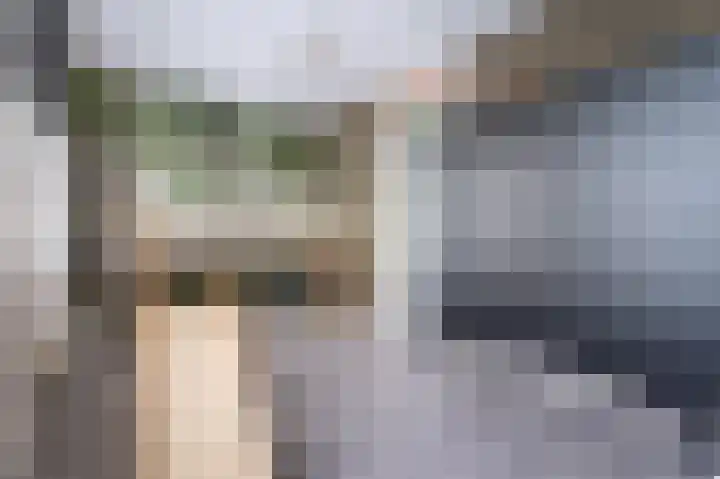 Pieter Speelmansingel 41 Spijkenisse thumbnail 31