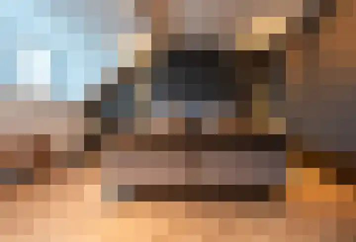 Pieter Speelmansingel 41 Spijkenisse thumbnail 34