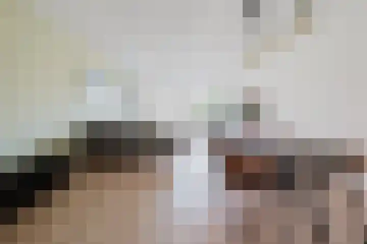 Pieter Speelmansingel 5 Spijkenisse thumbnail 17