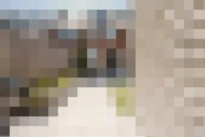Pieter Speelmansingel 5 Spijkenisse thumbnail 19
