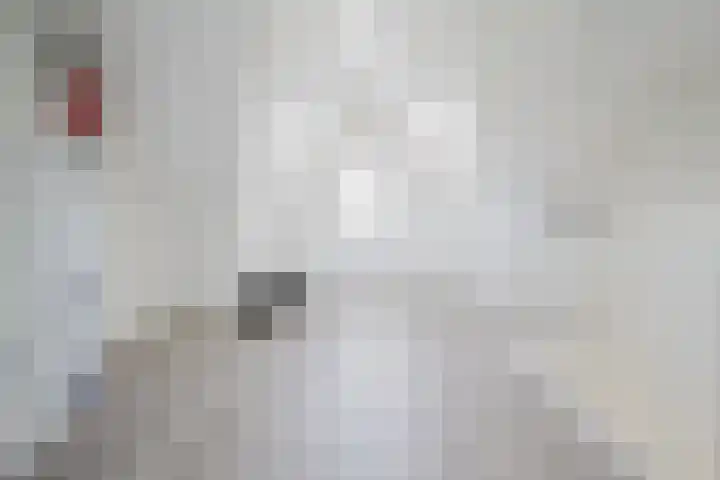 Pieter Speelmansingel 5 Spijkenisse thumbnail 30