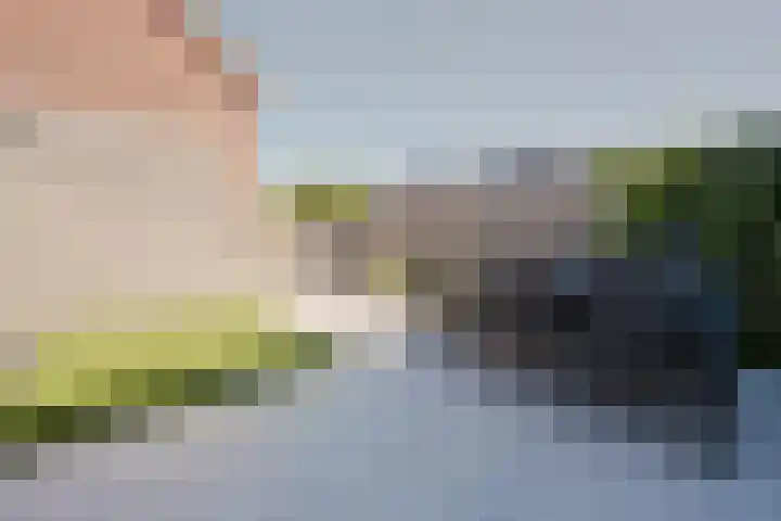 Pieter Speelmansingel 5 Spijkenisse thumbnail 5