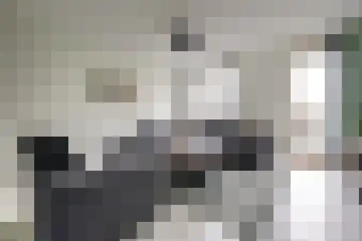 Pieter Speelmansingel 57 Spijkenisse thumbnail 10