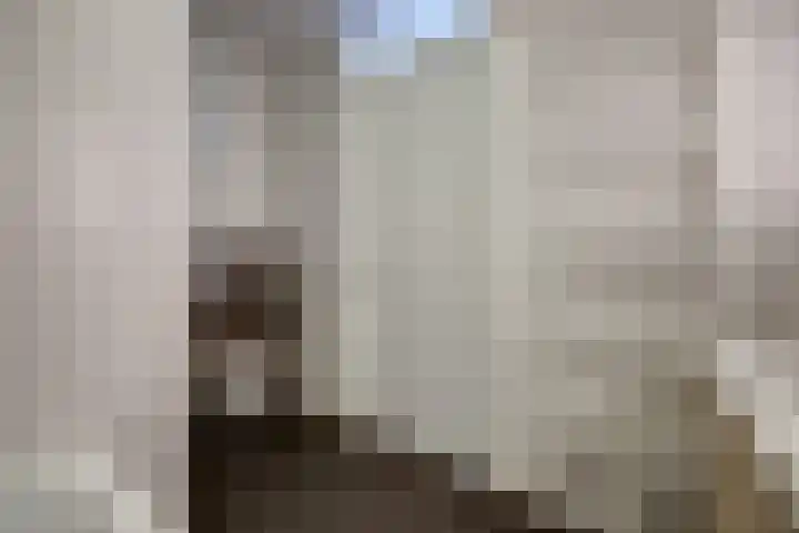 Pieter Speelmansingel 57 Spijkenisse thumbnail 17