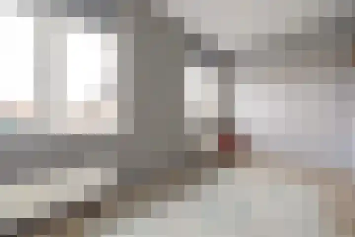 Pieter Speelmansingel 57 Spijkenisse thumbnail 20