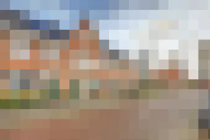 Pieter Speelmansingel 57 Spijkenisse thumbnail 28