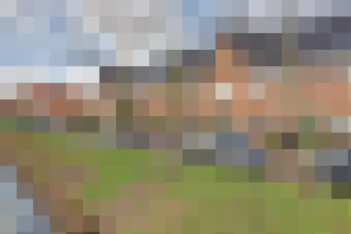 Pieter Speelmansingel 57 Spijkenisse thumbnail 30