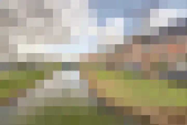 Pieter Speelmansingel 57 Spijkenisse thumbnail 31