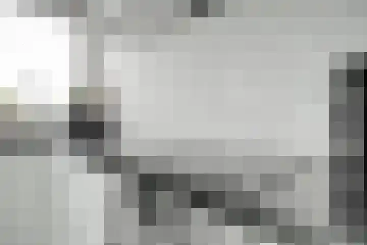 Pieter Speelmansingel 57 Spijkenisse thumbnail 4