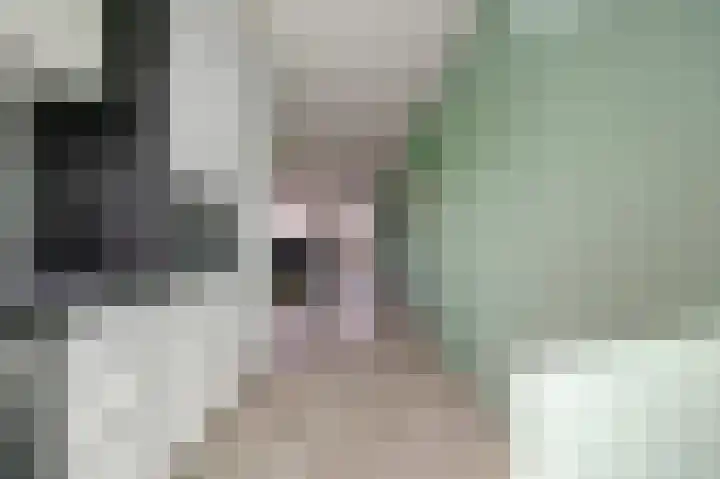 Pieter Speelmansingel 57 Spijkenisse thumbnail 5