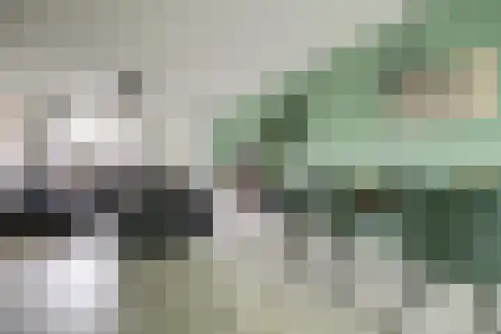 Pieter Speelmansingel 57 Spijkenisse thumbnail 7