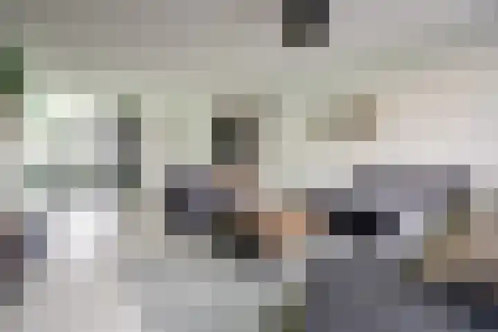 Pieter Speelmansingel 57 Spijkenisse thumbnail 9