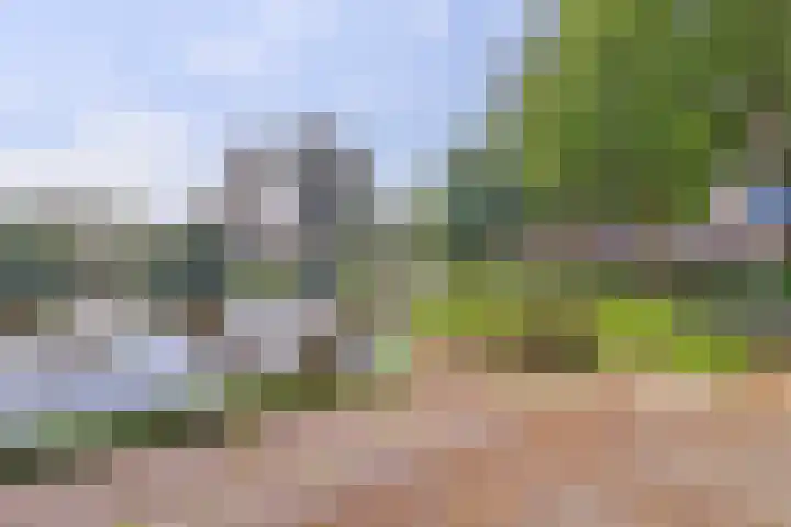 Pieter Stastokerf 35 Amersfoort thumbnail 29