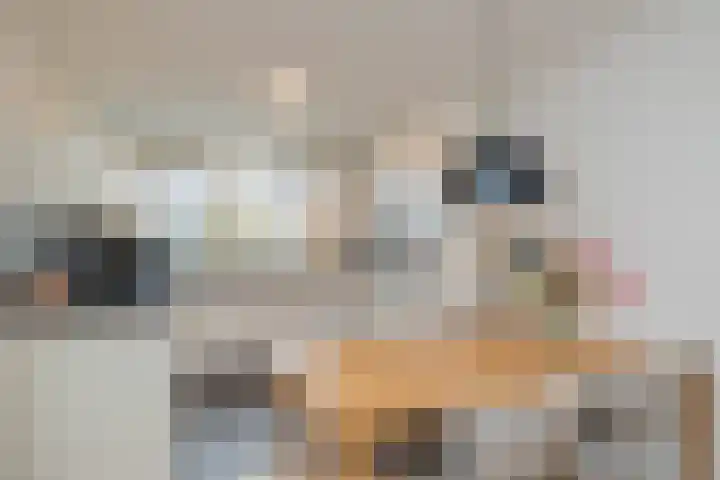 Pieter Stastokstraat 6 Zaandam thumbnail 4