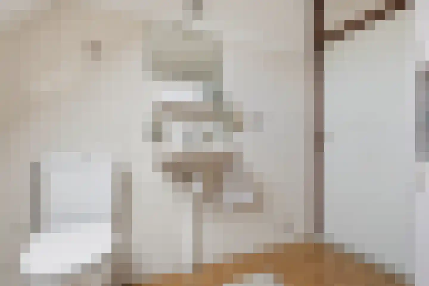 Pieter Stastokstraat 9 Zaandam thumbnail 26